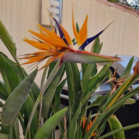 L'Oiseau Du Paradis Ναρμπόν Εξωτερικό φωτογραφία