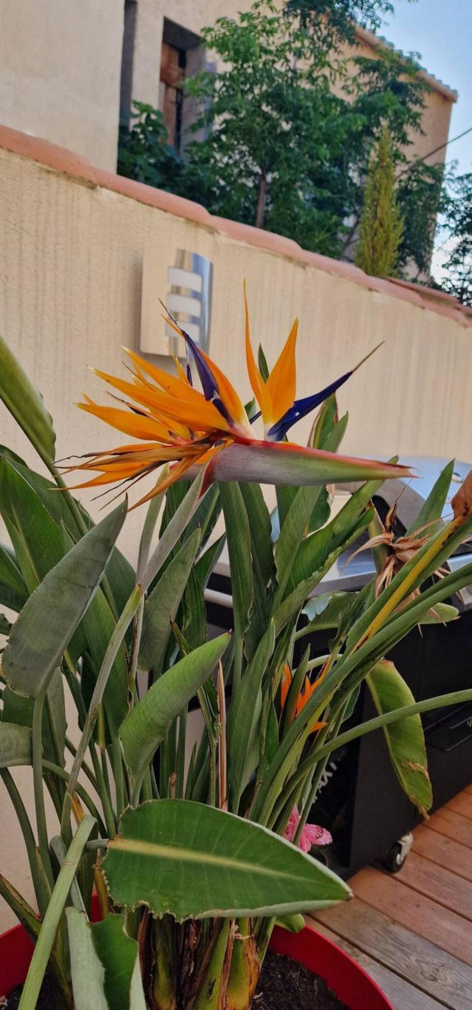 L'Oiseau Du Paradis Ναρμπόν Εξωτερικό φωτογραφία